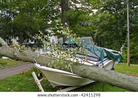 fallen tree on motor boat