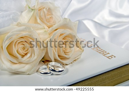 stock photo silver wedding rings and roses on holy bible