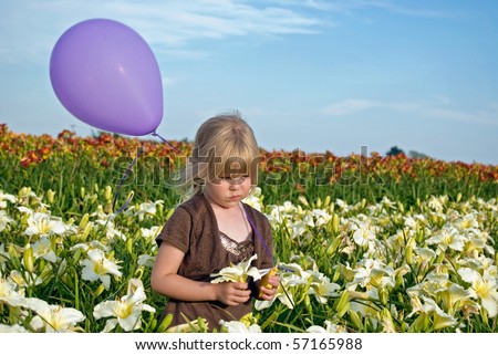 little girl with purple balloon in day lily field