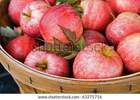 fall apples and leaves in bushel basket