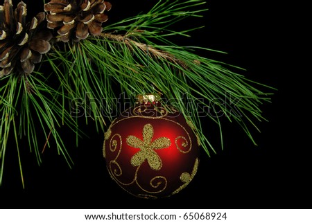 red and gold Christmas ornament hanging from pine bough