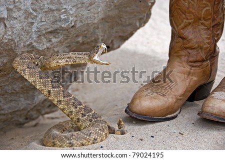 Attacking Rattlesnake