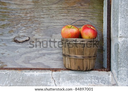 apples in old bushel basket