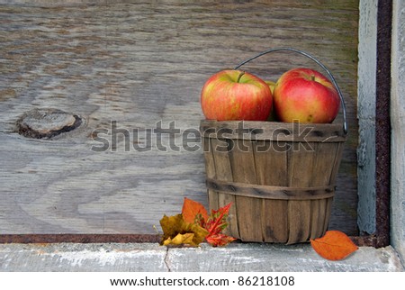 apples in bushel basket with autumn leaves