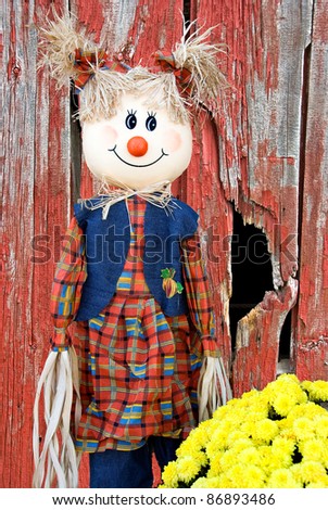 girl scarecrow with fall mums on old barn wood background