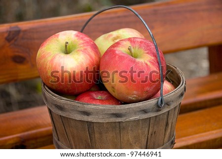 apples in bushel basket