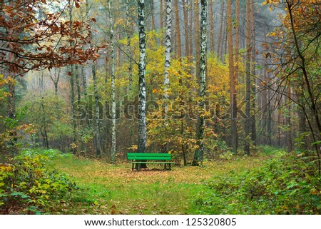A bench in the autumn forest