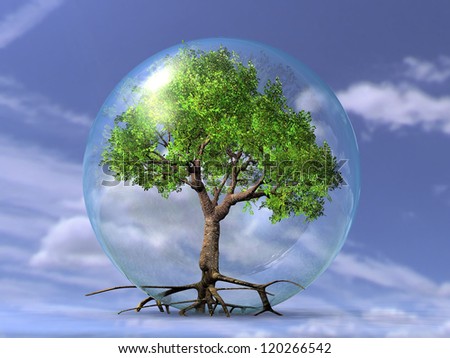 the tree in the bubble