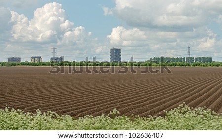 Urban view and agriculture in spring