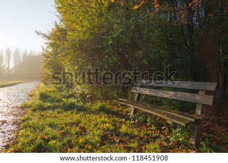 Bench along a path at dawn