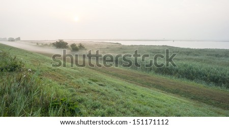 Shore of a foggy lake at dawn in summer