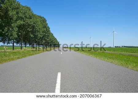 Trees along a countryside road in spring