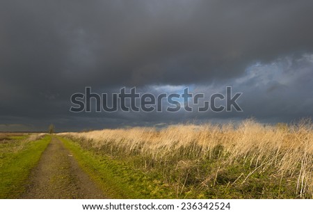 Deteriorating weather over a footpath along reed at fall