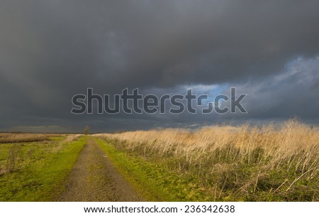 Deteriorating weather over a footpath along reed at fall