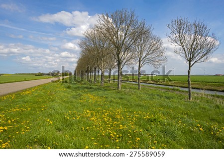 Canal along a countryside road in spring