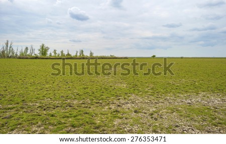 Bird hide on the horizon of an open field in spring
