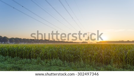 Power line in a yellow sky at sunrise in summer