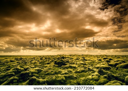 The midnight sun above moss covered lava rocks in south Iceland