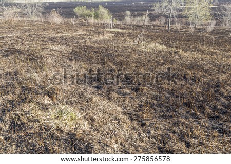 The charred remains following a prairie fire in Wisconsin