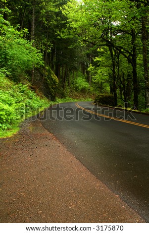 The Historic Columbia River Highway in Oregon along the Columbia River Gorge