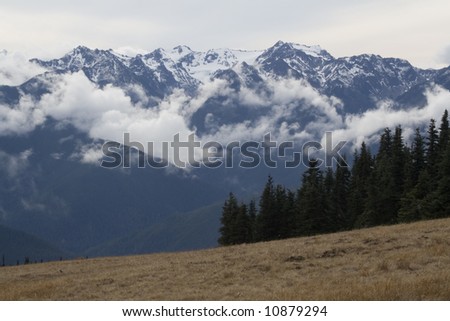Olympic National Park Mountains and Snow