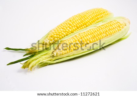 Fresh ears of corn on a clean white background