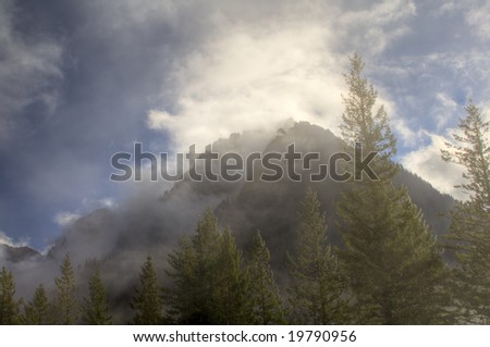 A beautiful view of a mountain and cloudy sky with trees in Mt. Rainier National Park on a spectacular fall day