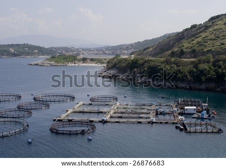  Fish Farming on Fish Farm In A Sea Bay In Greece Stock Photo 26876683   Shutterstock