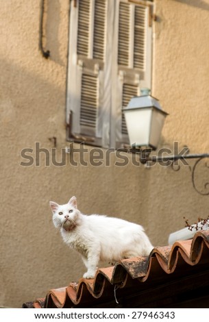 White Tile Roof