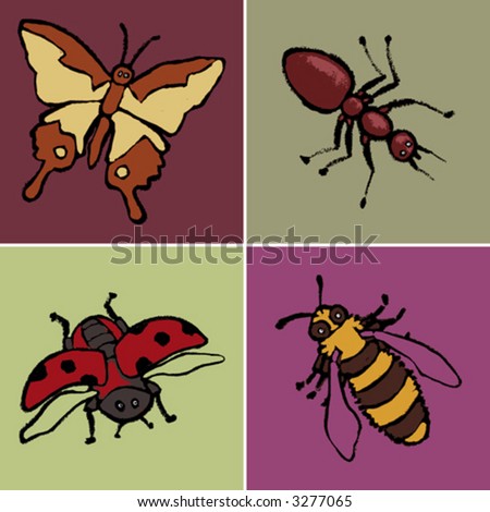 animals - insects
