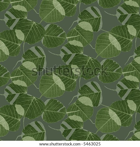 pattern - leaves and camouflage - \
\
others: http://www.shutterstock.com/lightboxes.mhtml?lightbox_id=862474