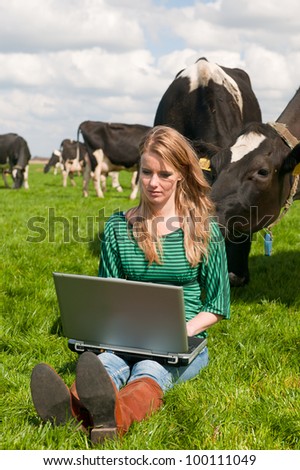 Young blond Dutch girl working with laptop in farm field with black and white cows