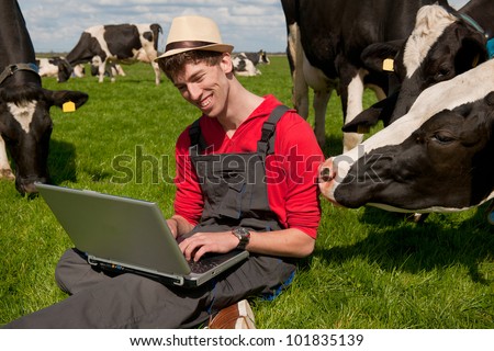 Young farmer working with laptop in farm field with black and white cows