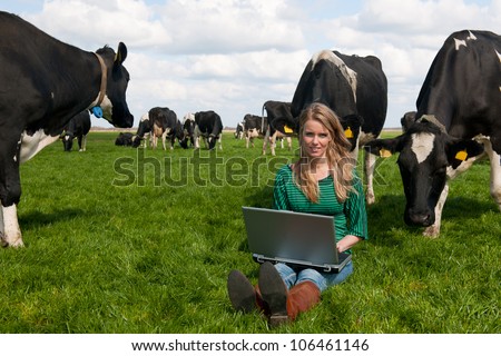 Young blond Dutch girl in farm field with laptop and black and white cows