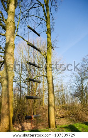 Ladder with steps in hanging in the tree to climb up