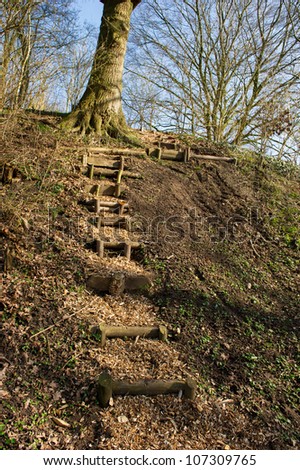 Wooden nature steps upon the hill