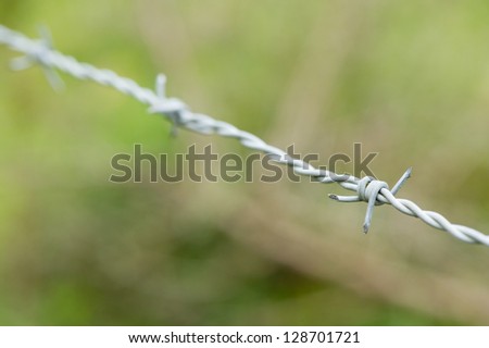 Metal barbed wire outdoor