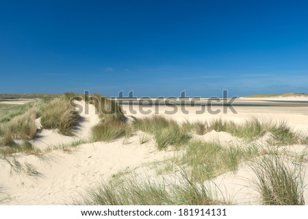 Sand dunes with top at the Dutch coast