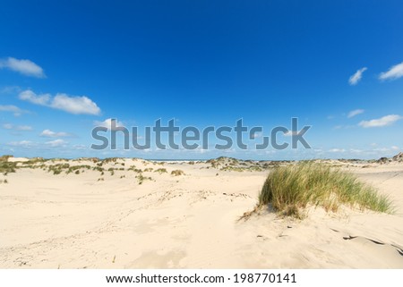 Sand dune at beach of Dutch wadden island Terschelling