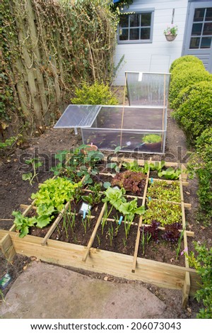 Vegetable garden with assortment vegetables and cold container