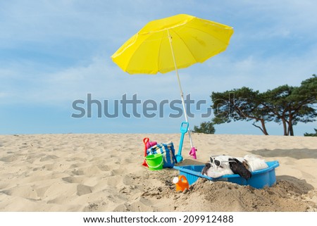 Funny dog is having a cooling down with water and parasol at the beach in the summer