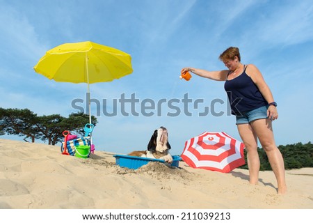 Funny dog is having a cooling down with water and parasol at the beach in the summer