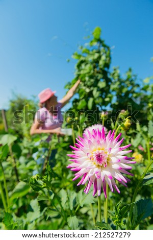 Woman working in vegetable garden with focal point at flower