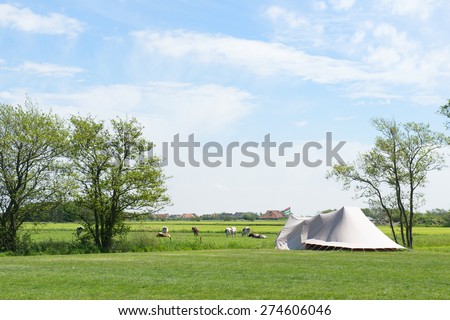 Landscape Camping with tent in meadows with cows
