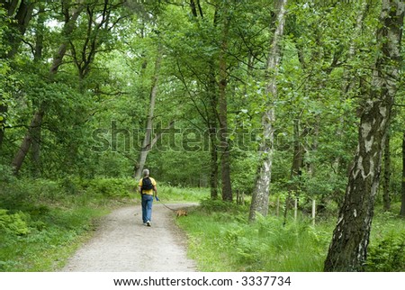 a man is walking the dog in a beautiful forest
