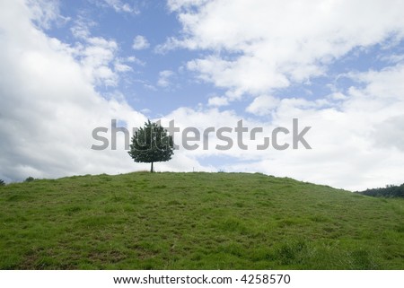 Lonely tree on a green hill with cloudy sky