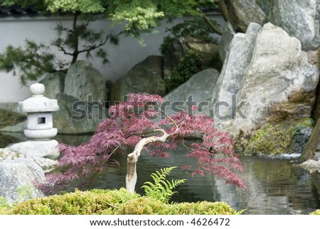 a pond in a Japanese garden