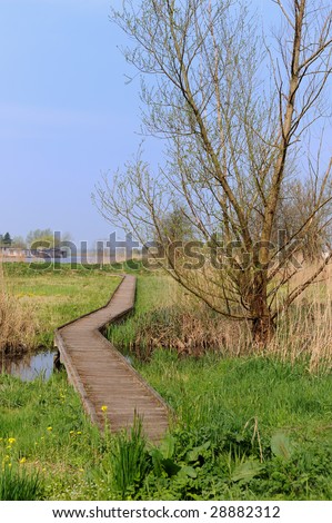 Landscape with wooden path to the river