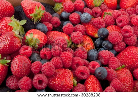 forest strawberries