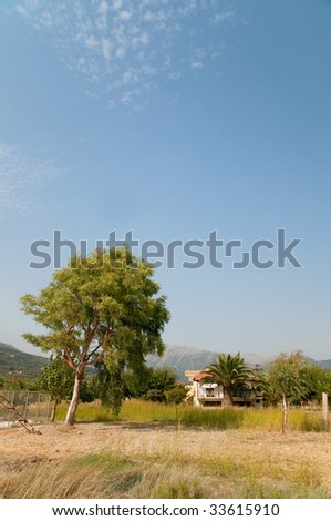 Greek landscape with estate and tree at Lefkas